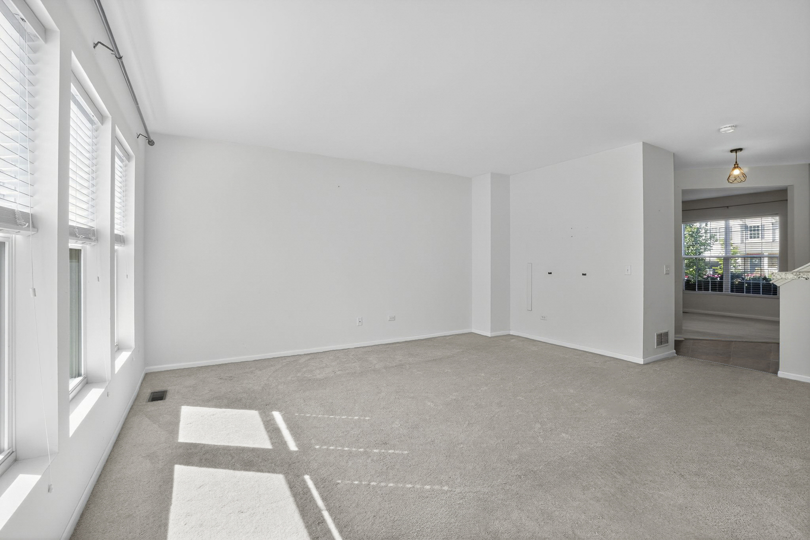 232 Julep Avenue Oswego, IL 60543 - Photo 12 of 31