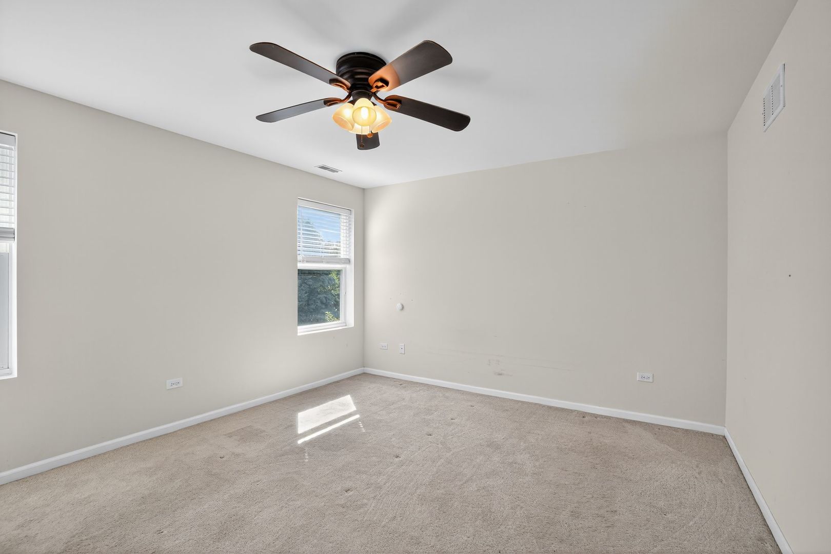 232 Julep Avenue Oswego, IL 60543 - Photo 21 of 31