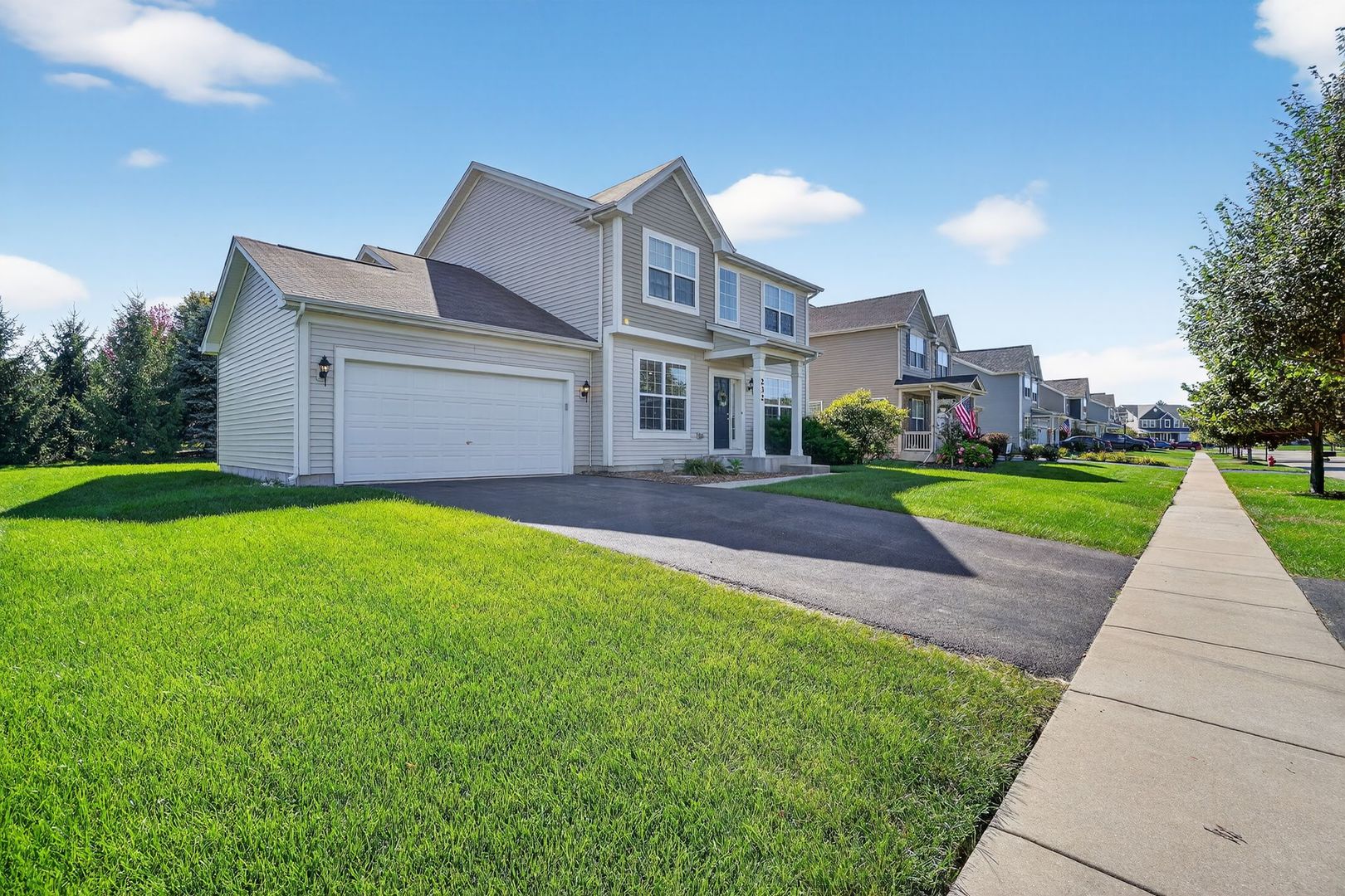 232 Julep Avenue Oswego, IL 60543 - Photo 3 of 31