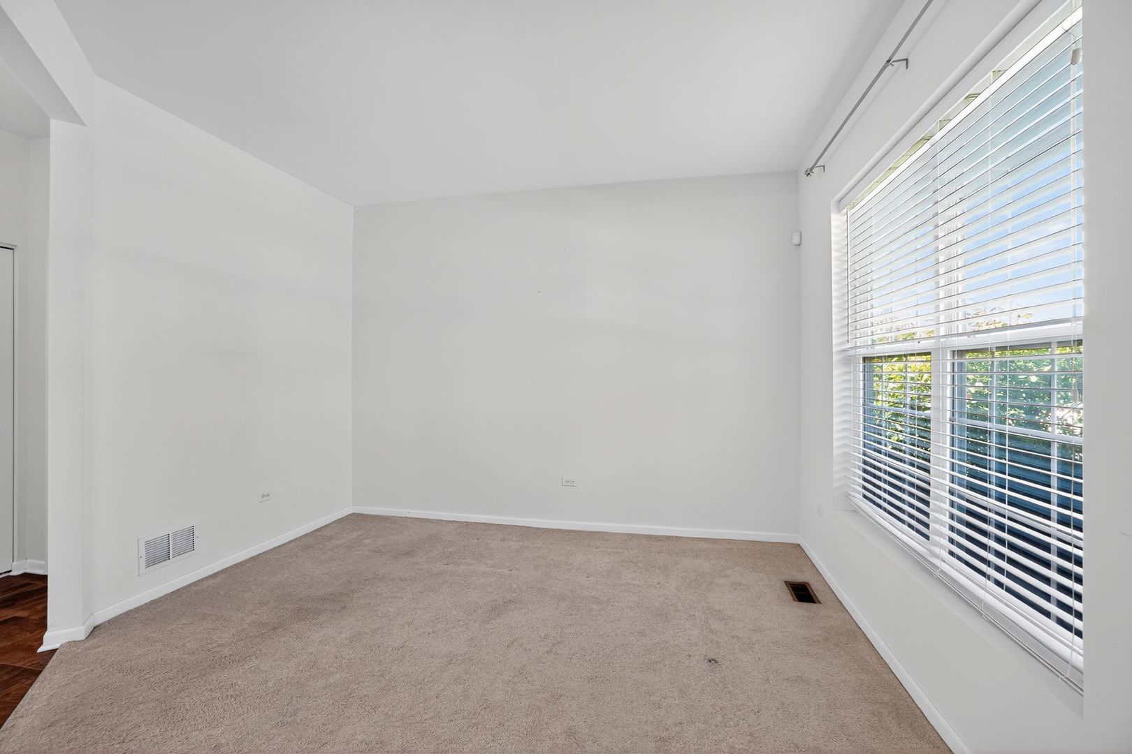 232 Julep Avenue Oswego, IL 60543 - Photo 8 of 31