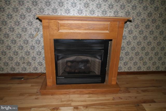 386 Appleton Road Elkton, MD 21921 - Photo 20 of 21 GREAT ROOM FIREPLACE