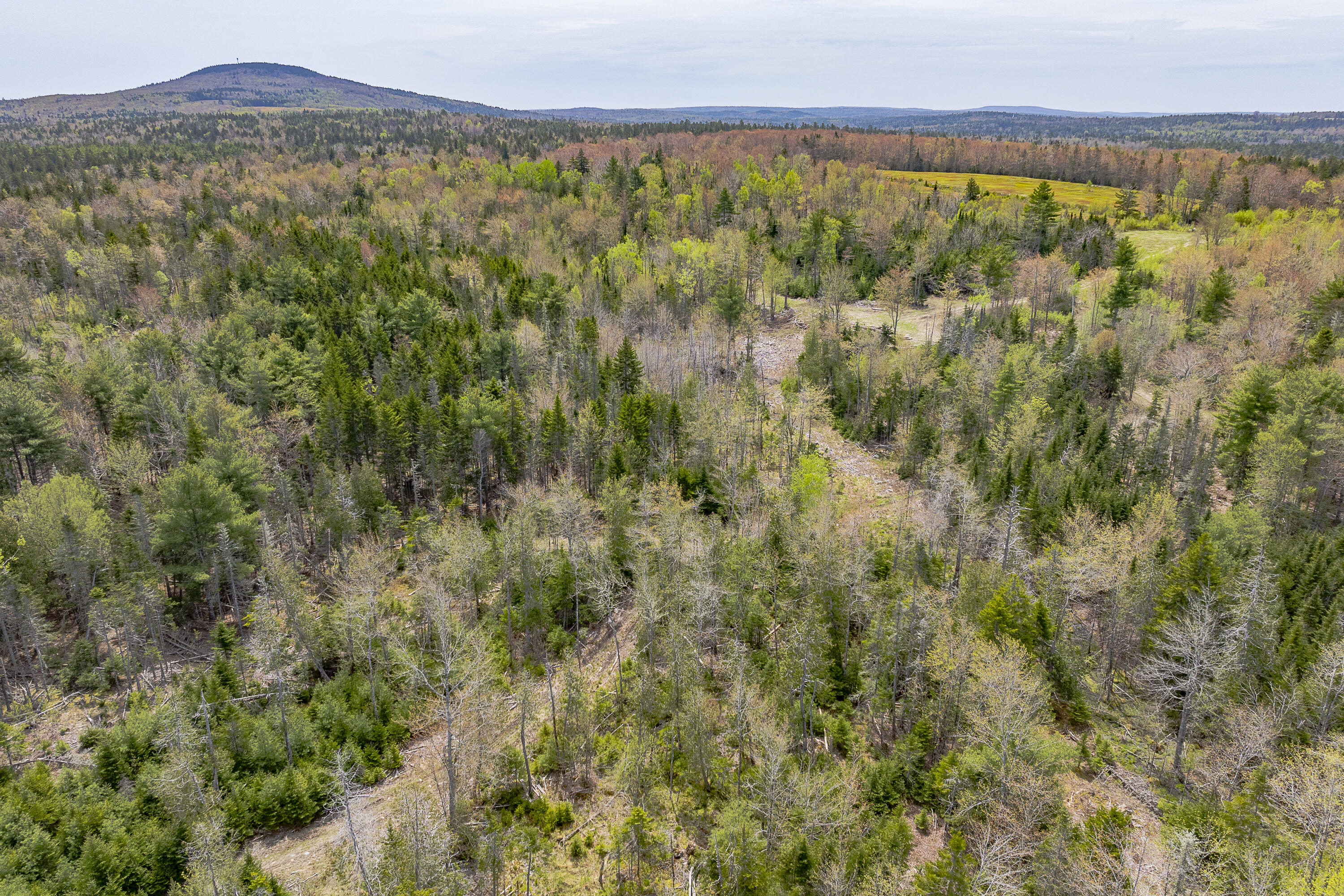 475 A Range Road Blue Hill, ME 04614 - Photo 18 of 24 28-475 Range Road HiRes-DTP