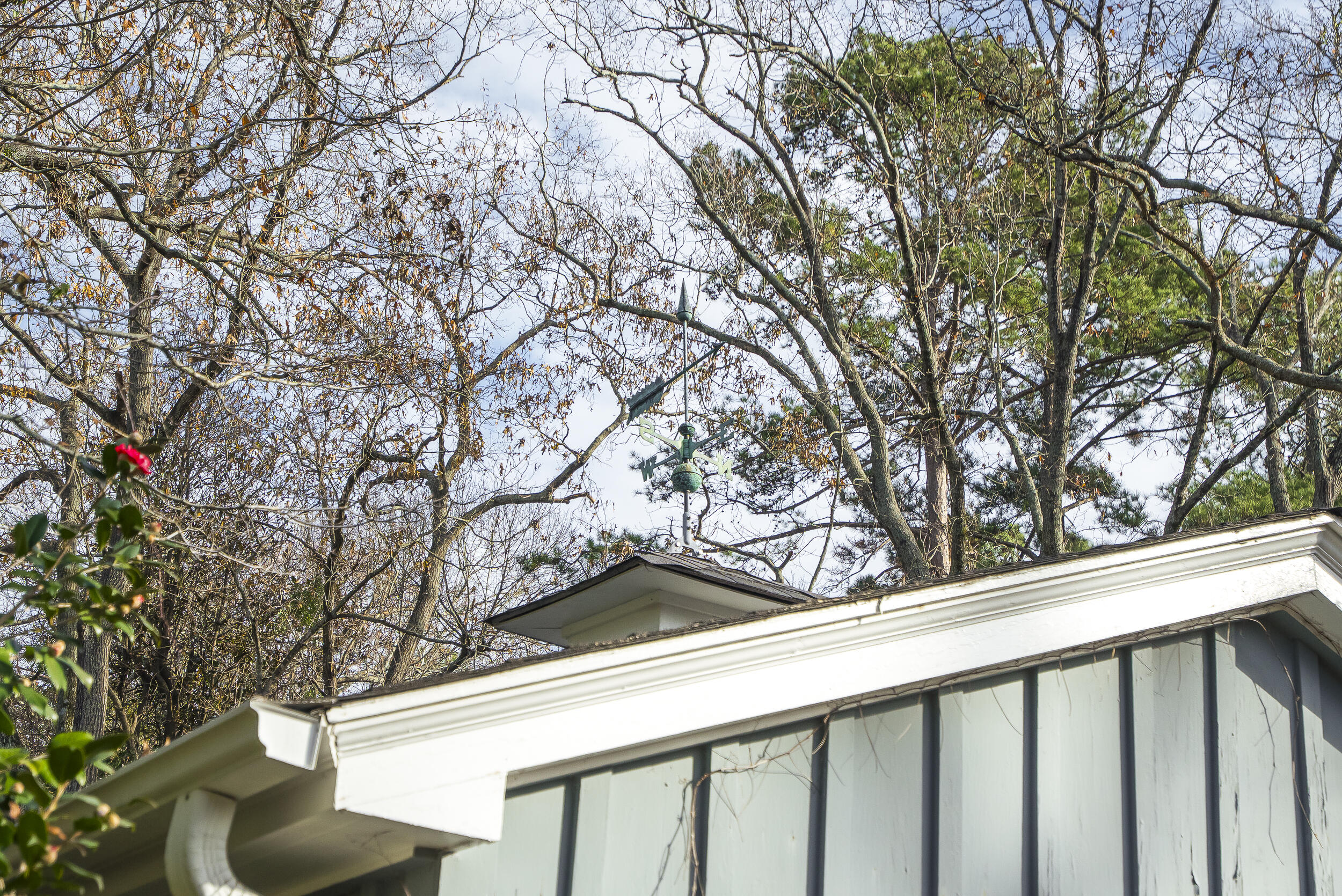 198 Hickory Road Aiken, SC 29803 - Photo 8 of 52