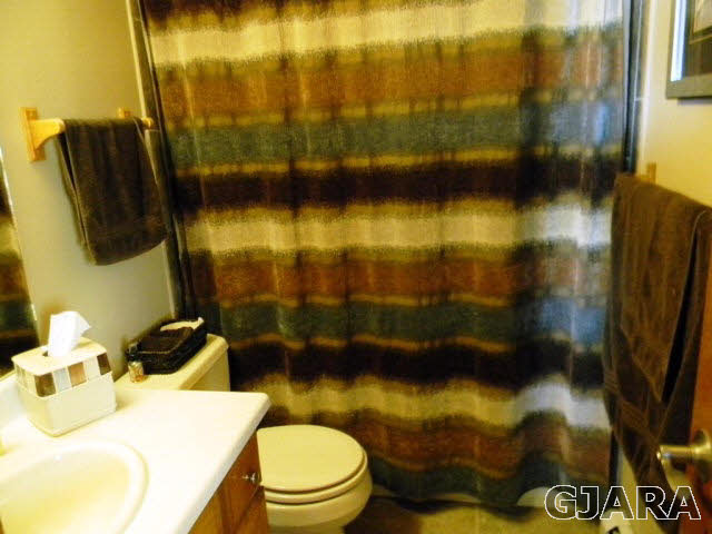 1181-17 17 1/2 Road Fruita, CO 81521 - Photo 27 of 38 a bathroom with a sink toilet and mirror