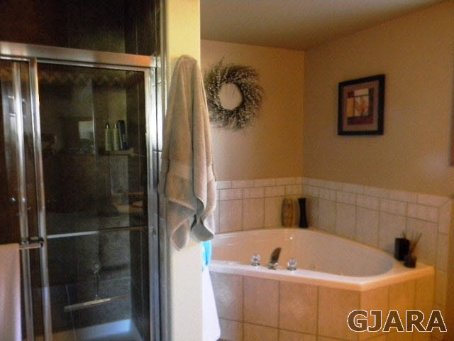 1181-17 17 1/2 Road Fruita, CO 81521 - Photo 29 of 38 a bathroom with a bath tub