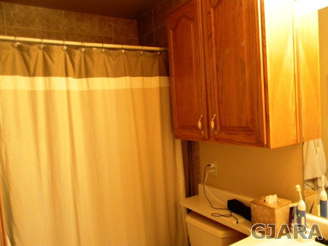 1181-17 17 1/2 Road Fruita, CO 81521 - Photo 33 of 38 a bathroom with a shower curtain