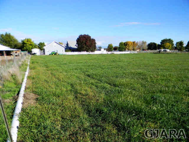 1181-17 17 1/2 Road Fruita, CO 81521 - Photo 7 of 38 a view of a field