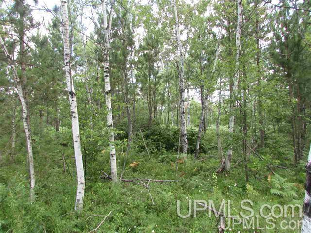 Tbd Tbd Paint River-6 Road, Unit 6 Crystal Falls, MI 49920 - Photo 3 of 4
