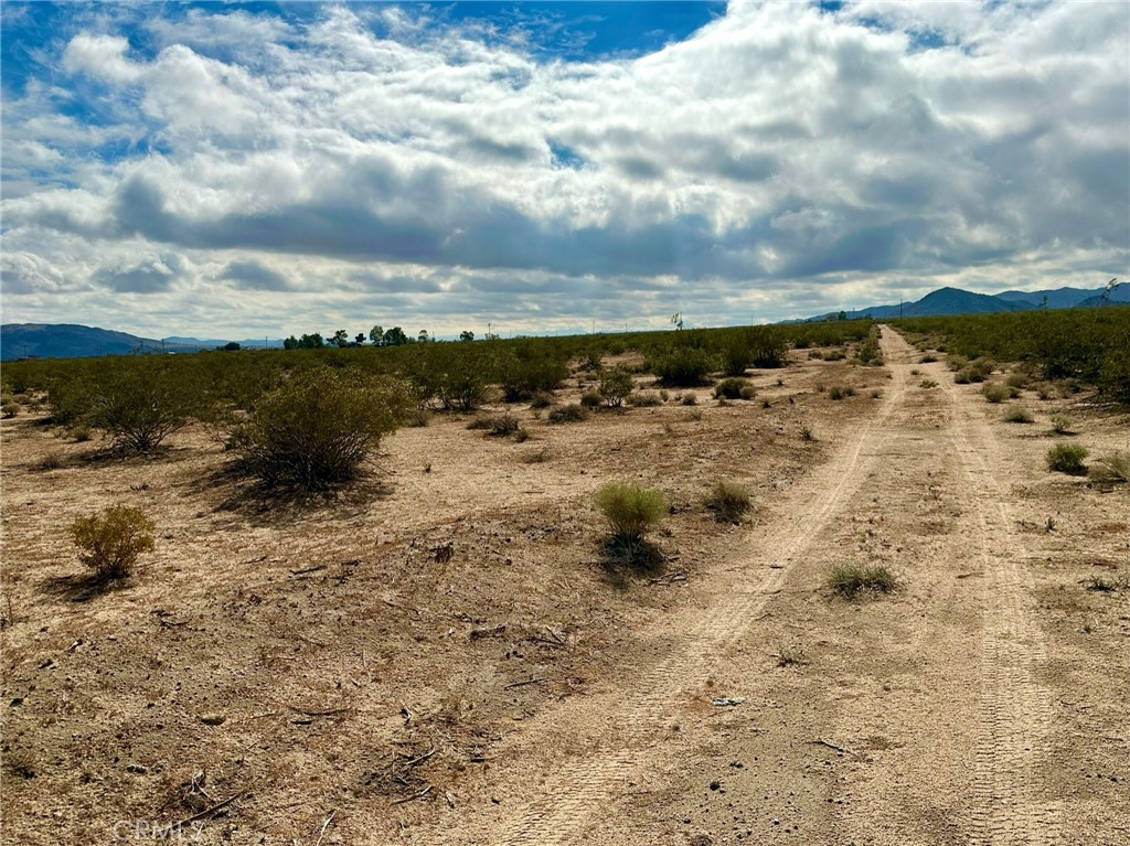 0 Jemez Trail Landers, CA 92285 - Photo 12 of 12 a view of a beach with a nearby beach