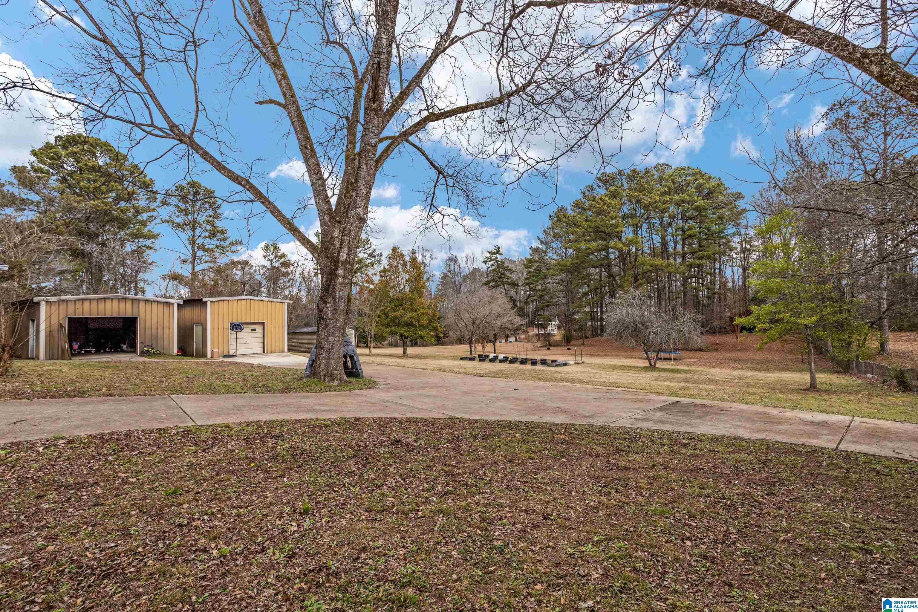 2945 Mt Olive Road Mount Olive, AL 35117 - Photo 46 of 59