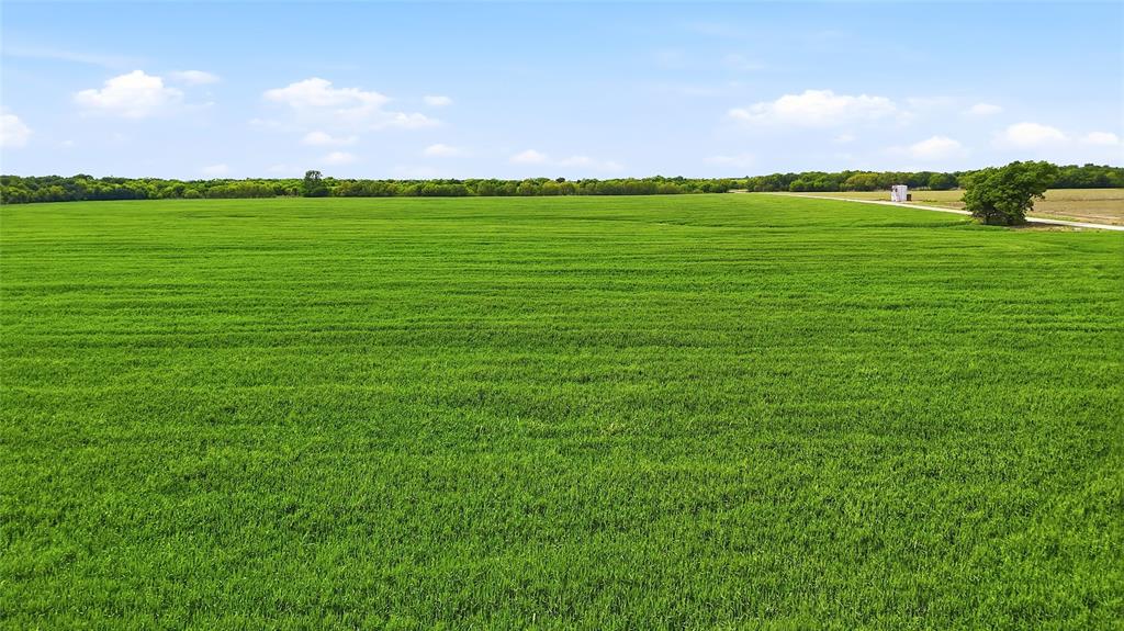 Tbd Davis Road Collinsville, TX 76233 - Photo 6 of 21