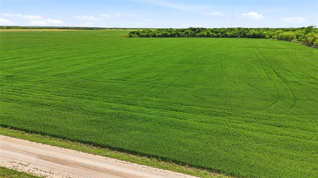 Tbd Davis Road Collinsville, TX 76233 - Photo 9 of 21