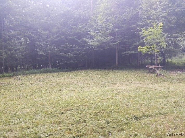 449 Wood Road Harpersfield, NY 12093 - Photo 2 of 3