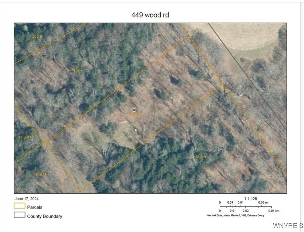 449 Wood Road Harpersfield, NY 12093 - Photo 3 of 3