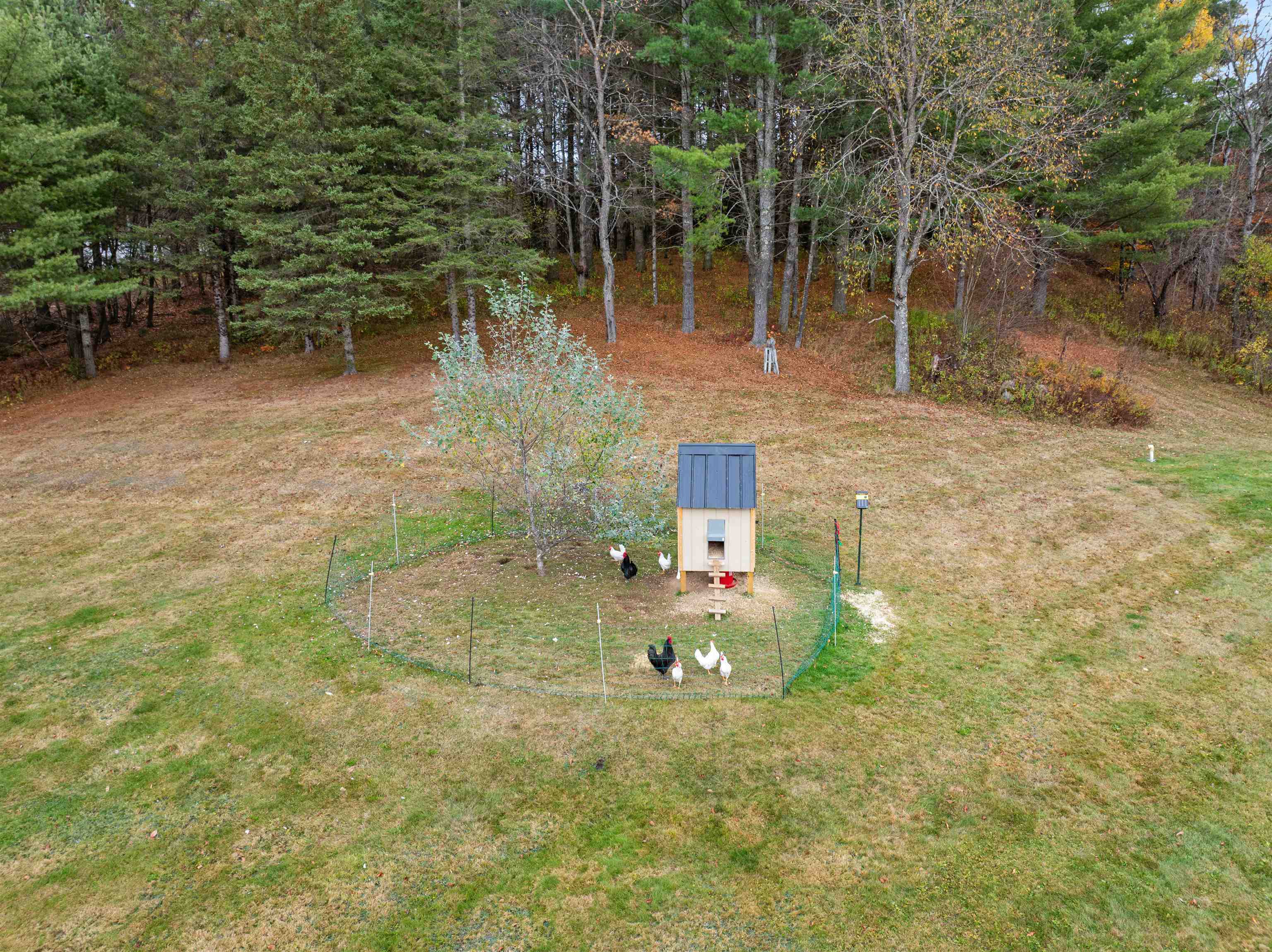 758 Highway 3 Columbia, NH 03590 - Photo 19 of 60