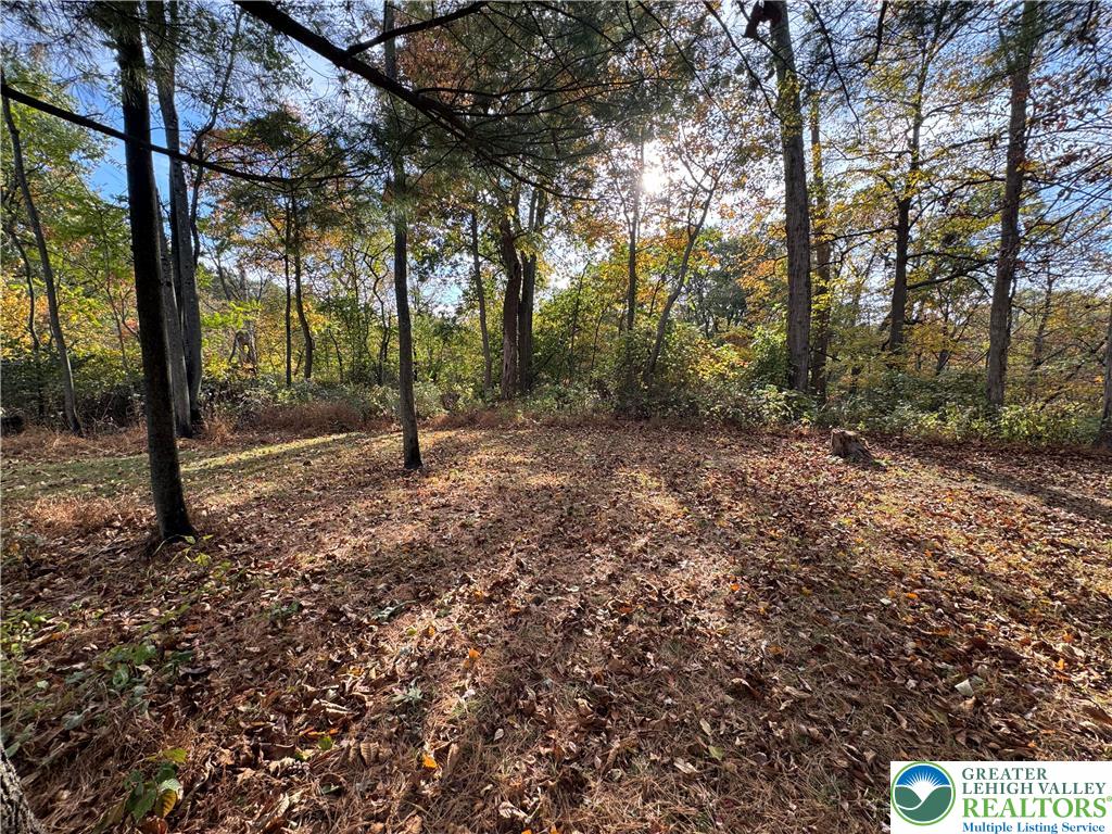 1071 Bitternut Road Walnutport, PA 18088 - Photo 17 of 39 a backyard of a house with lots of green space