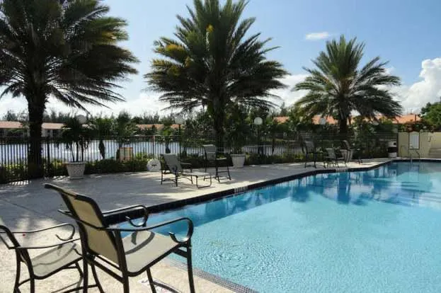 a view of a forest from a tree