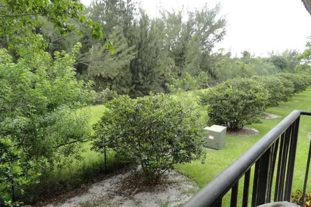 a view of a swimming pool with chairs