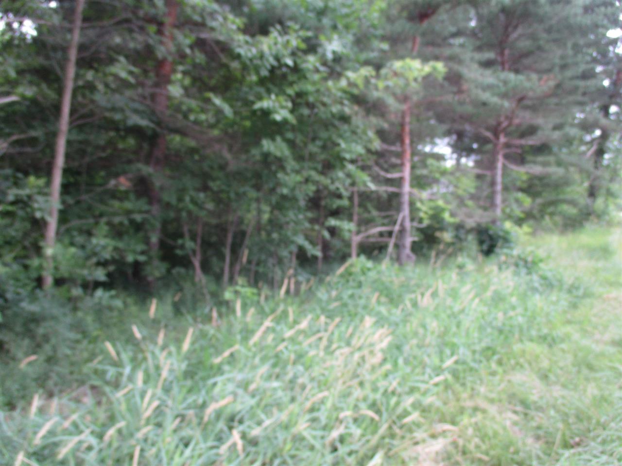 Parcel C North Byron Road Lennon, MI 48449 - Photo 10 of 13