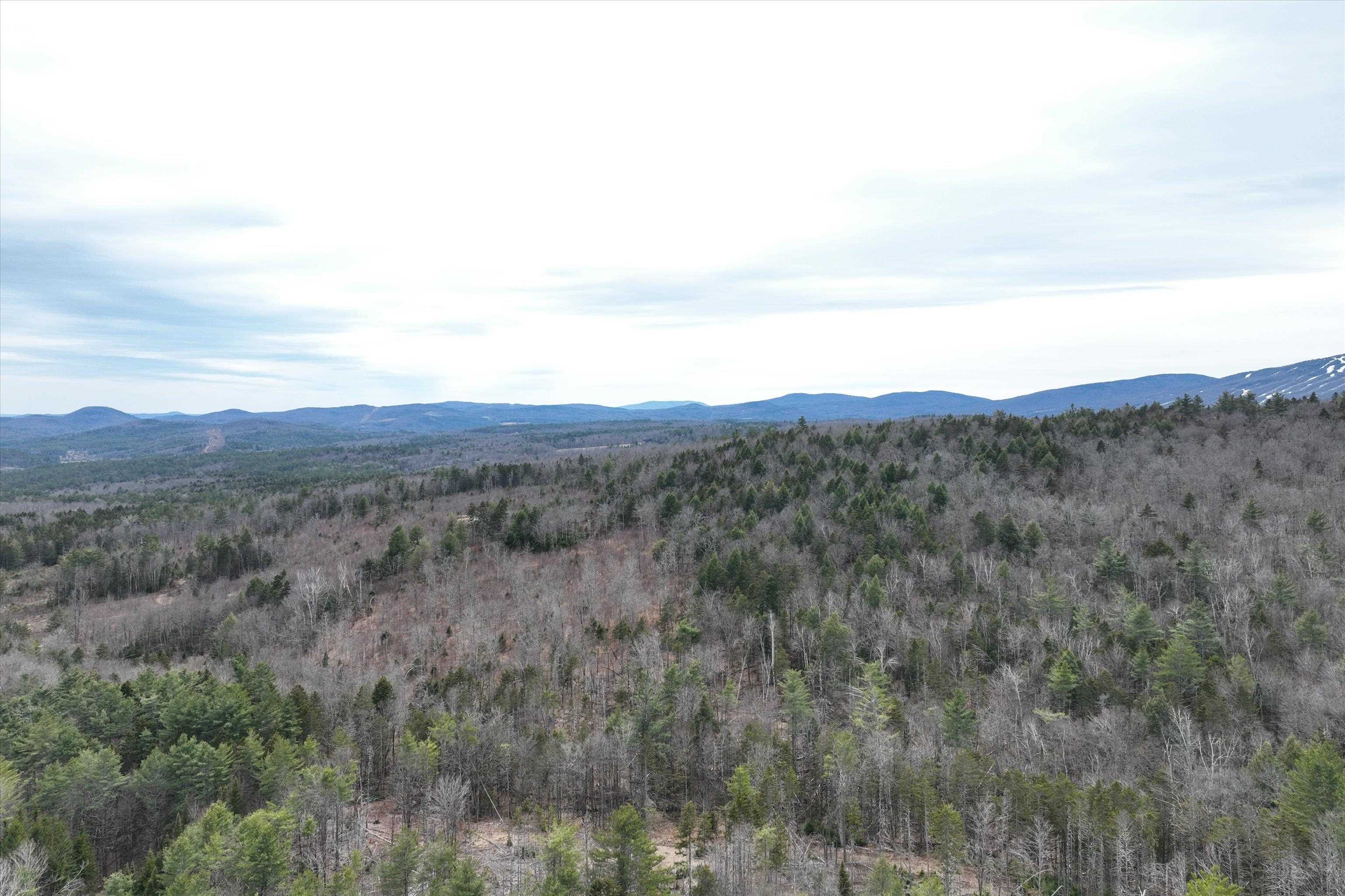 Dix Hill Road, Unit 6 Ludlow, VT 05149 - Photo 2 of 17 Gallery Image 2