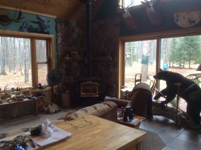15324 Wagner Vogt Road Butternut, WI 54514 - Photo 6 of 14 Gallery Image 6