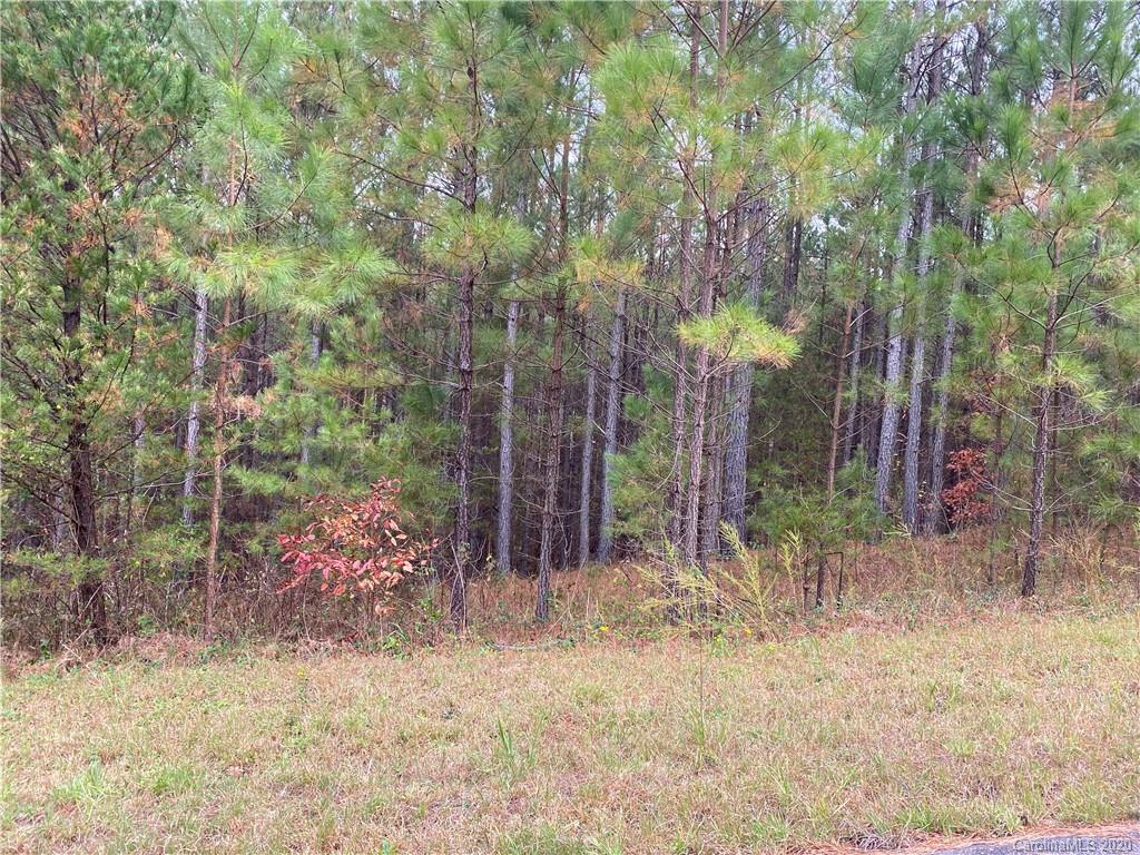 19 Sunset Drive Mill Spring, NC 28756 - Photo 1 of 7 a backyard of a house with lots of green space
