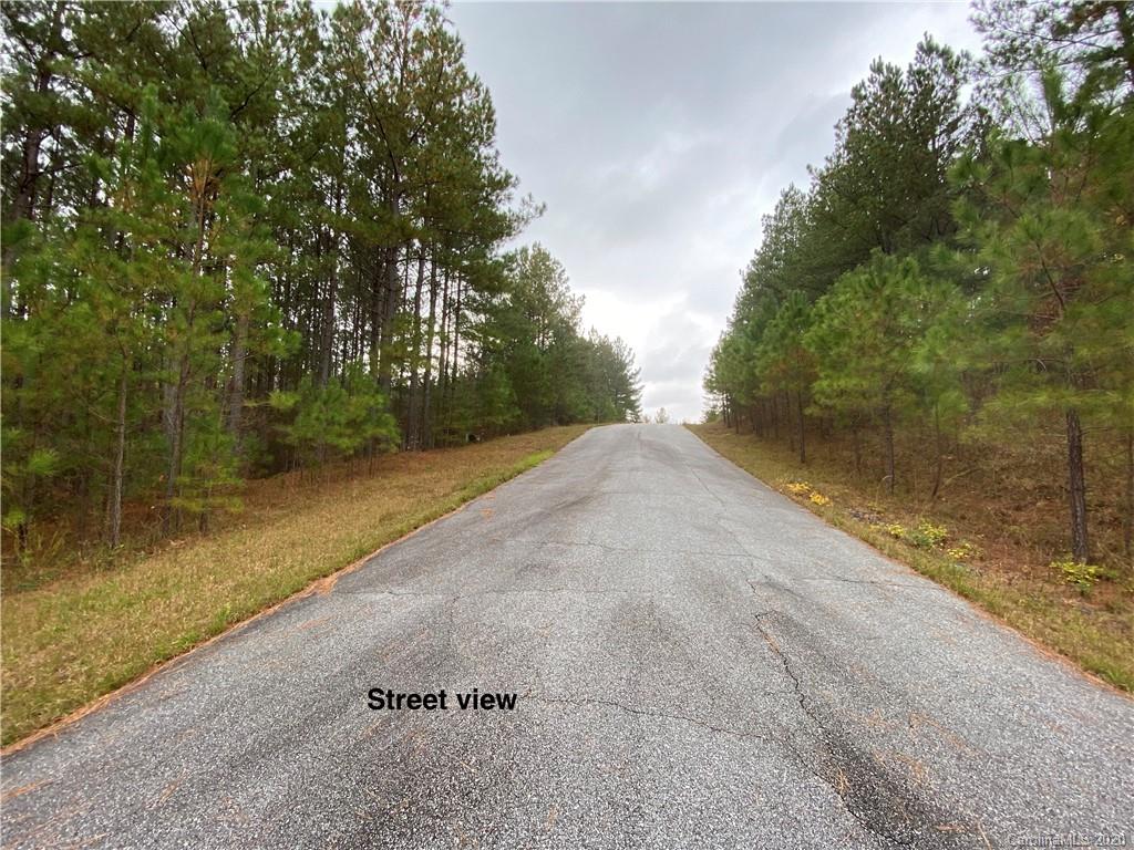19 Sunset Drive Mill Spring, NC 28756 - Photo 2 of 7 a view of a yard with trees