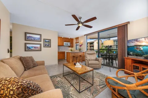 a living room with furniture a rug potted plant and a large window