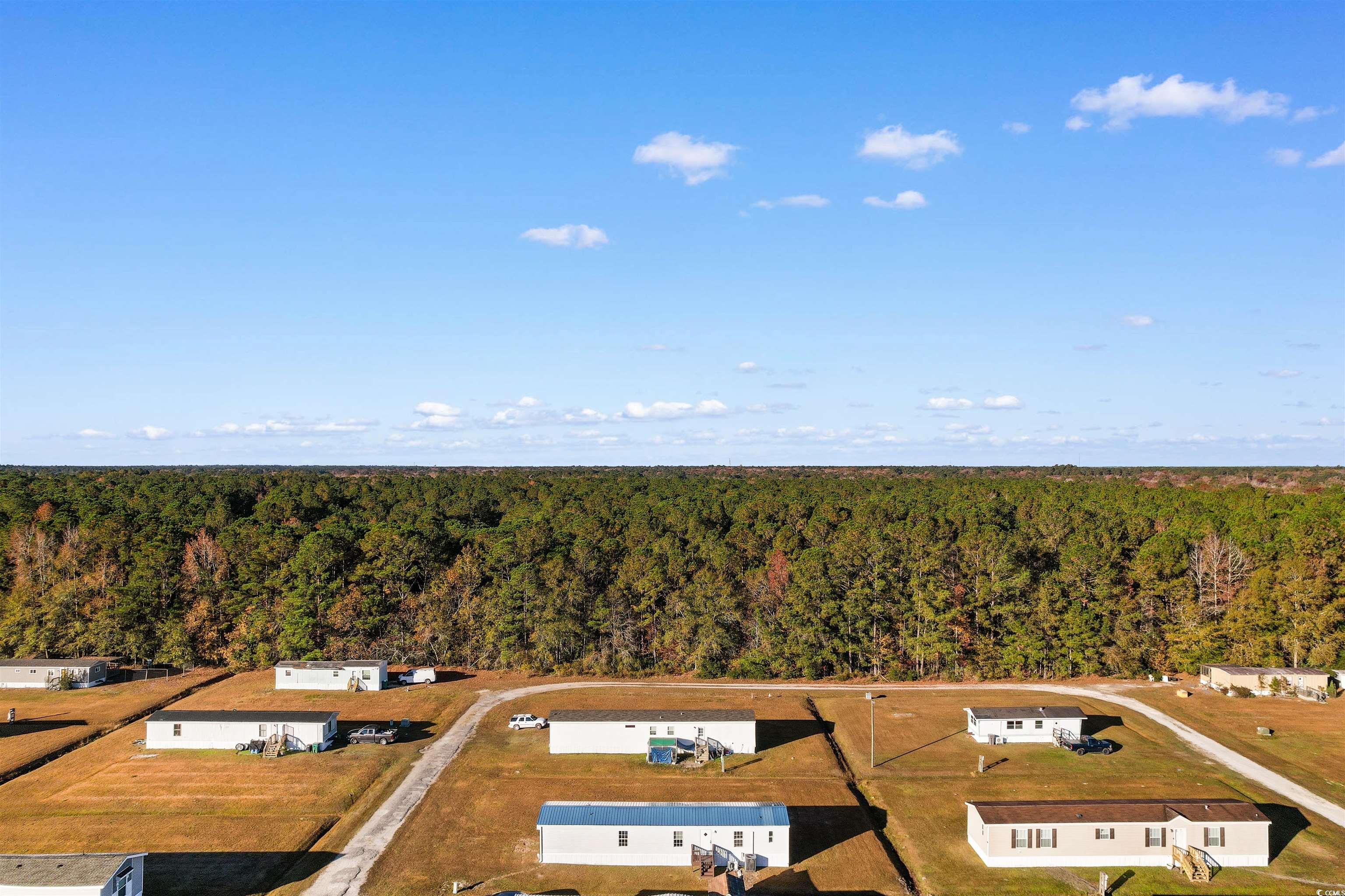 2273 Python Circle Conway, SC 29526 - Photo 33 of 38 Drone / aerial view of a heavily wooded area