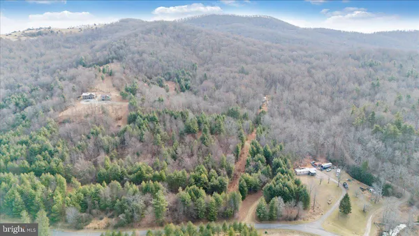 a view of a lush green forest with mountains in the background