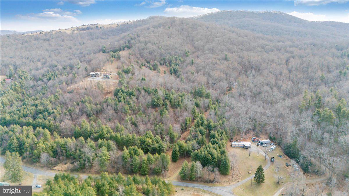 0 Fairview Church Road Southwest Floyd, VA 24091 - Photo 5 of 8 a view of a dry yard with trees