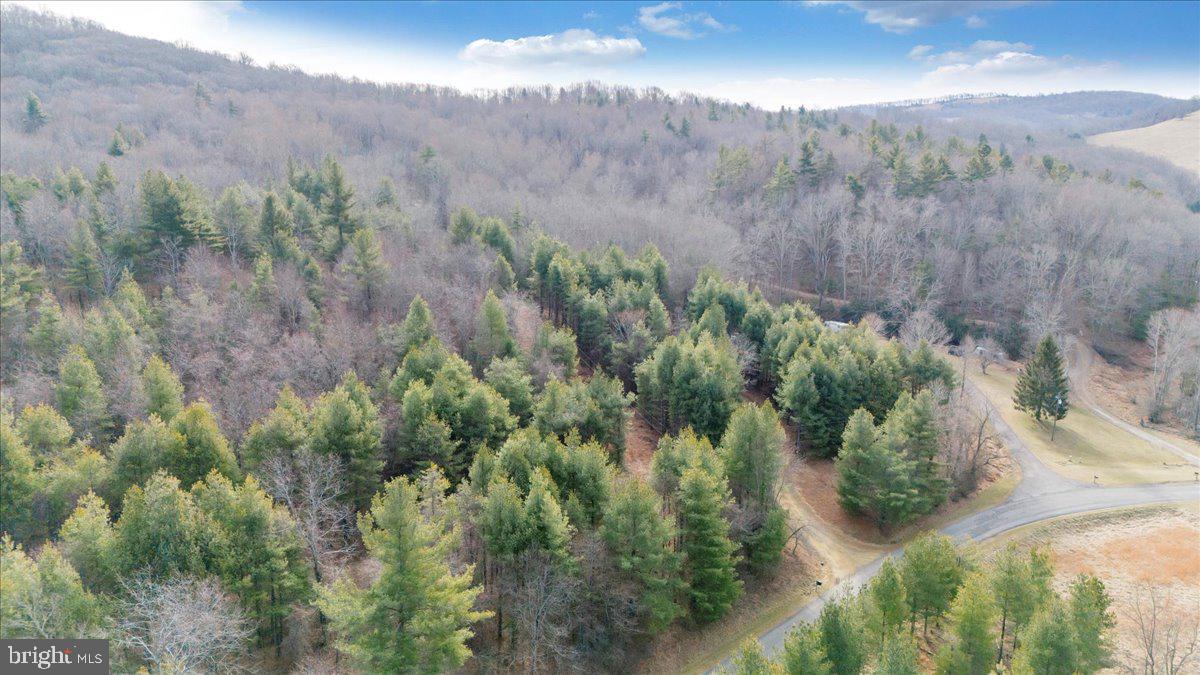 0 Fairview Church Road Southwest Floyd, VA 24091 - Photo 6 of 8