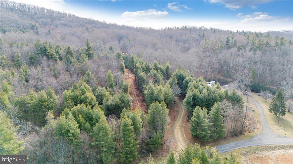 0 Fairview Church Road Southwest Floyd, VA 24091 - Photo 7 of 8 a view of a yard in a forest