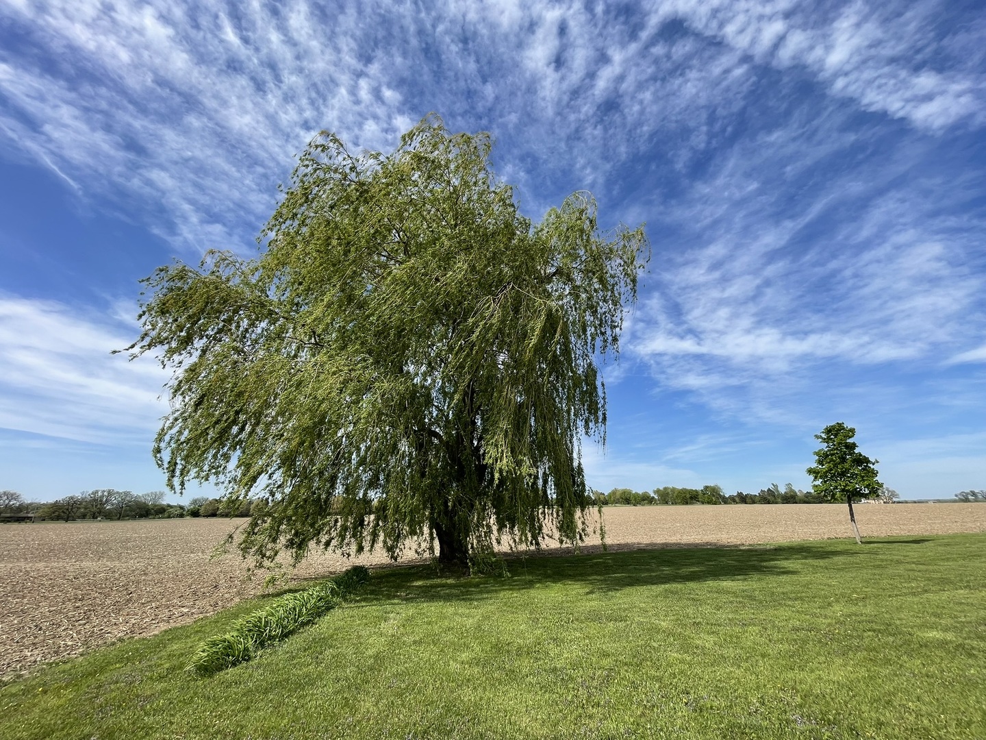 6808 South Oak Grove Road Harvard, IL 60033 - Photo 18 of 18 a view of a field with a yard
