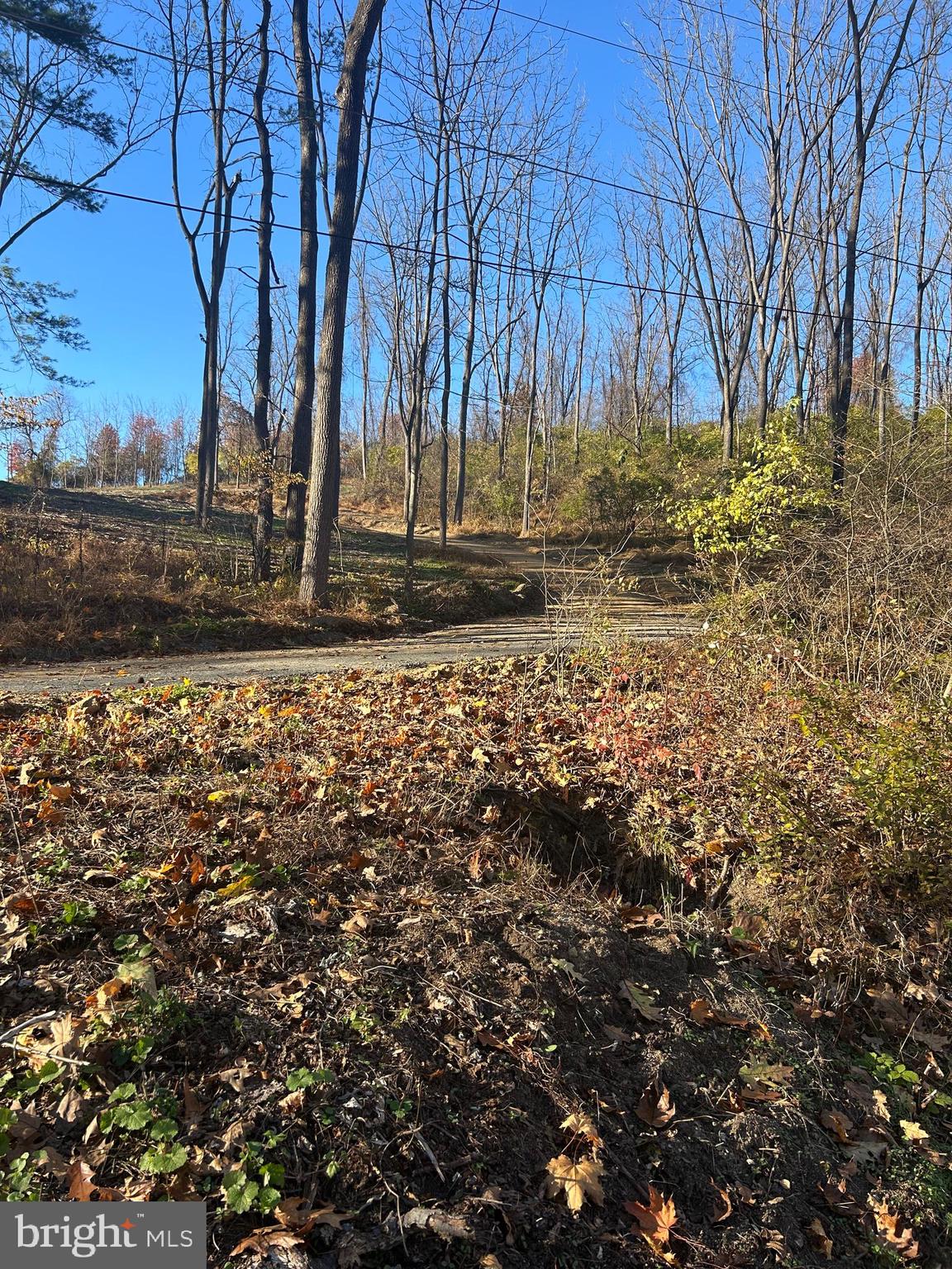 Lot #4 Heidel Road Robesonia, PA 19551 - Photo 4 of 10 a view of a yard with wooden fence