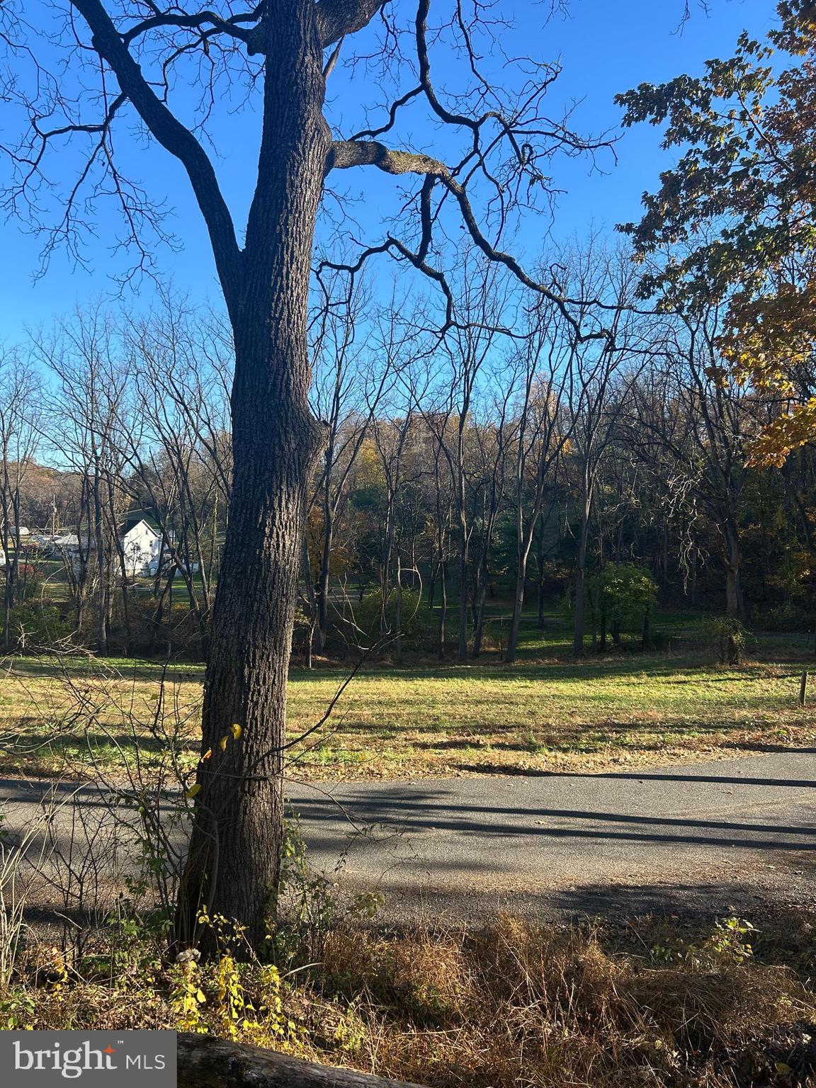 Lot #4 Heidel Road Robesonia, PA 19551 - Photo 5 of 10 a view of a yard with an outdoor space
