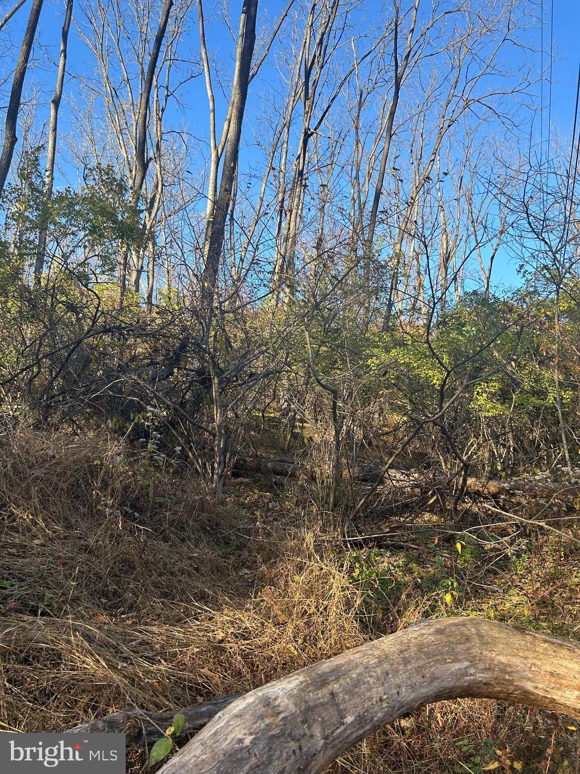 Lot #4 Heidel Road Robesonia, PA 19551 - Photo 7 of 10