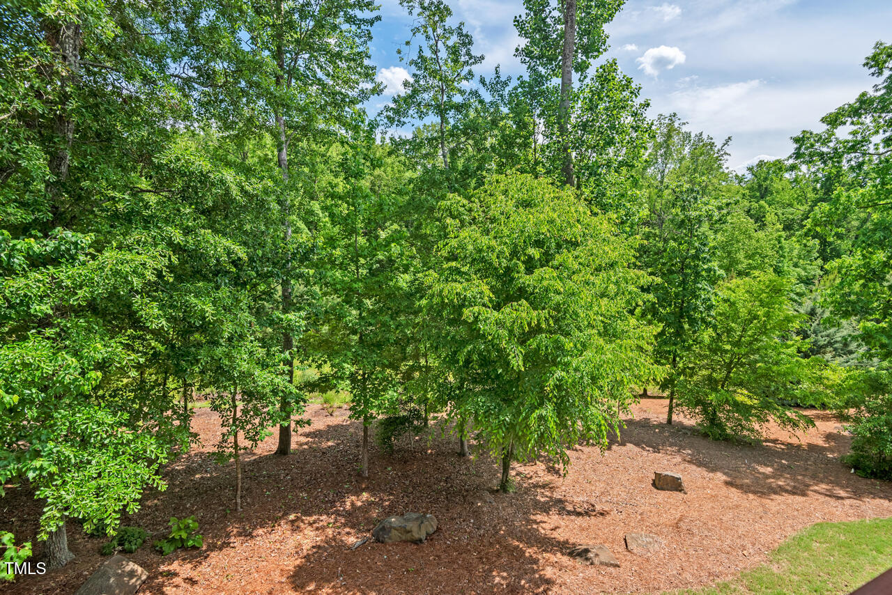 2633 Beckwith Road Apex, NC 27523 - Photo 25 of 46 29