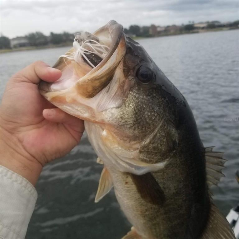 5426 Gemgold Court Windermere, FL 34786 - Photo 18 of 60