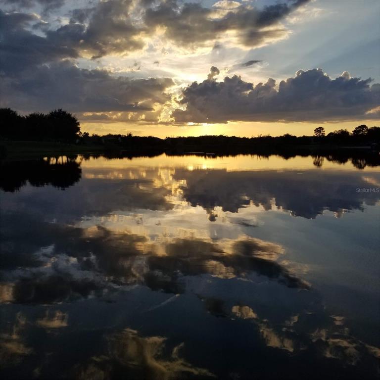 5426 Gemgold Court Windermere, FL 34786 - Photo 52 of 60