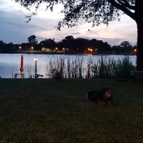 $3,950 | 5426 Gemgold Court, Windermere, FL 34786