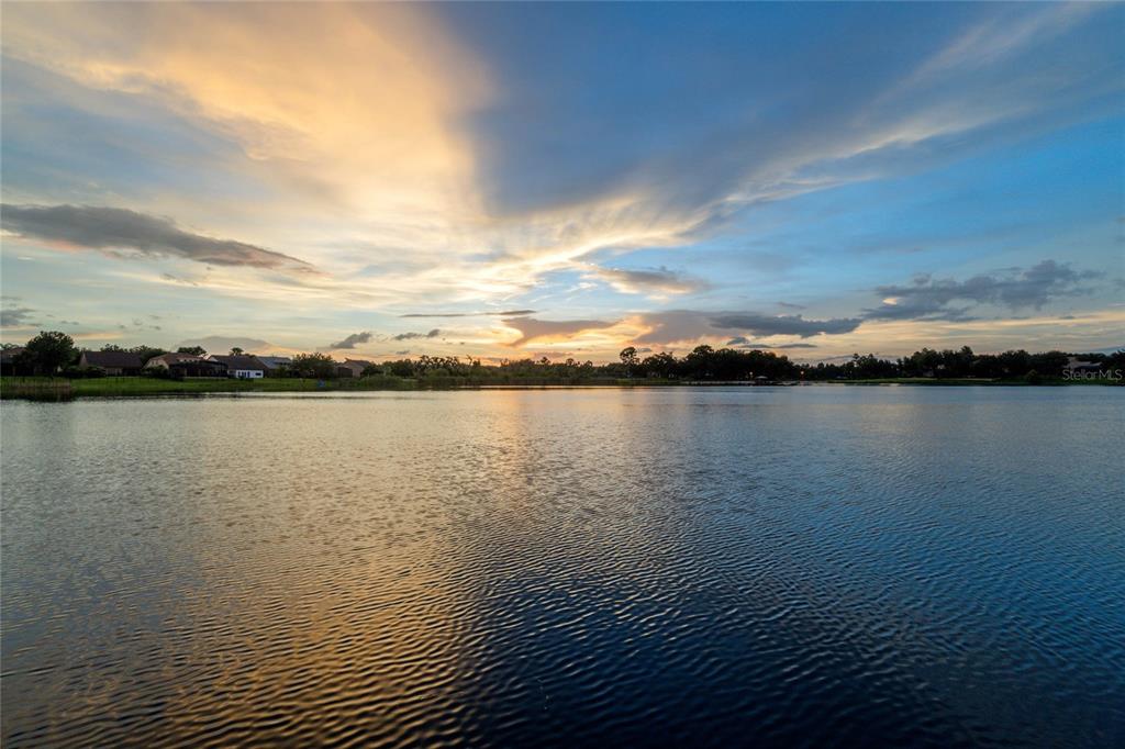 5426 Gemgold Court Windermere, FL 34786 - Photo 6 of 60