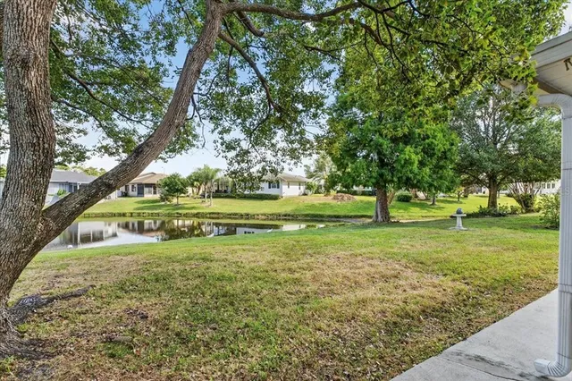 a view of yard with tree and green space