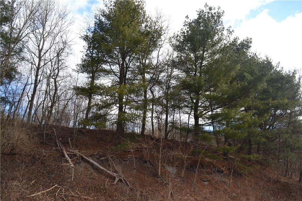 391 Stanford Road Prospect, PA 16052 - Photo 9 of 24
