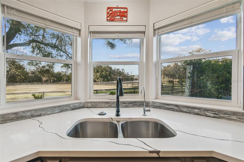 12714 Tyler Run Avenue Odessa, FL 33556 - Photo 16 of 65 a view of a sink and a kitchen with a window
