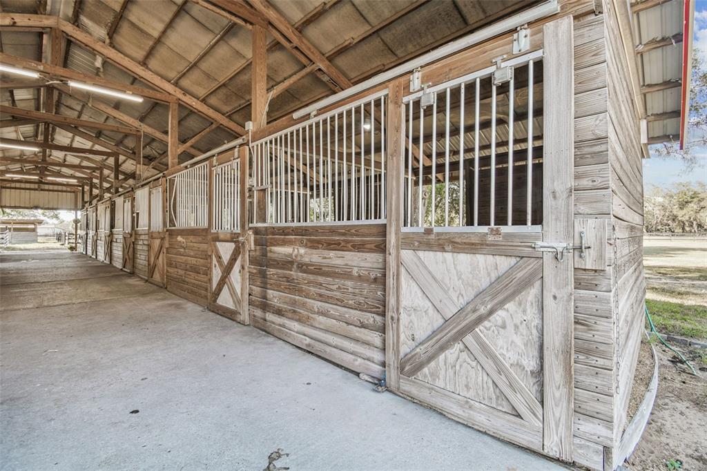 12714 Tyler Run Avenue Odessa, FL 33556 - Photo 24 of 65