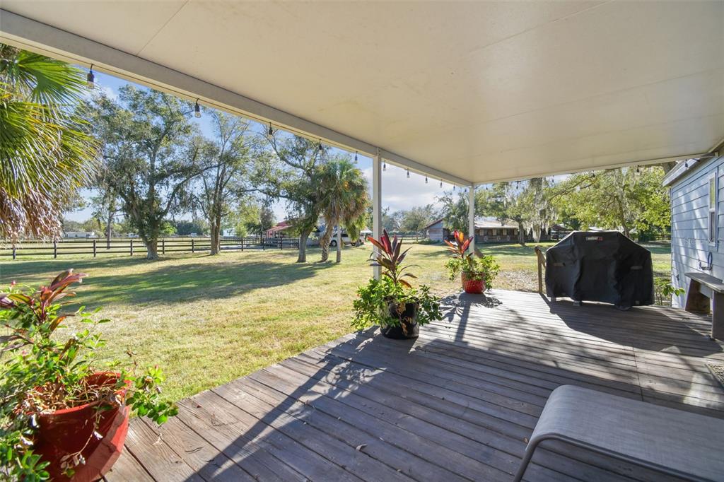 12714 Tyler Run Avenue Odessa, FL 33556 - Photo 41 of 65