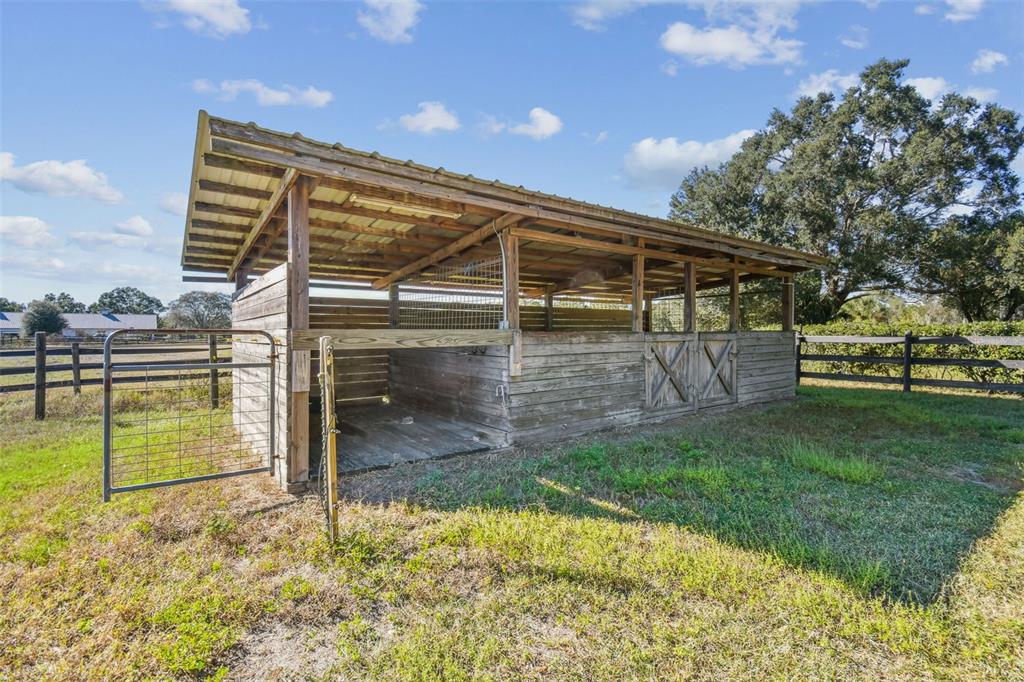 12714 Tyler Run Avenue Odessa, FL 33556 - Photo 7 of 65