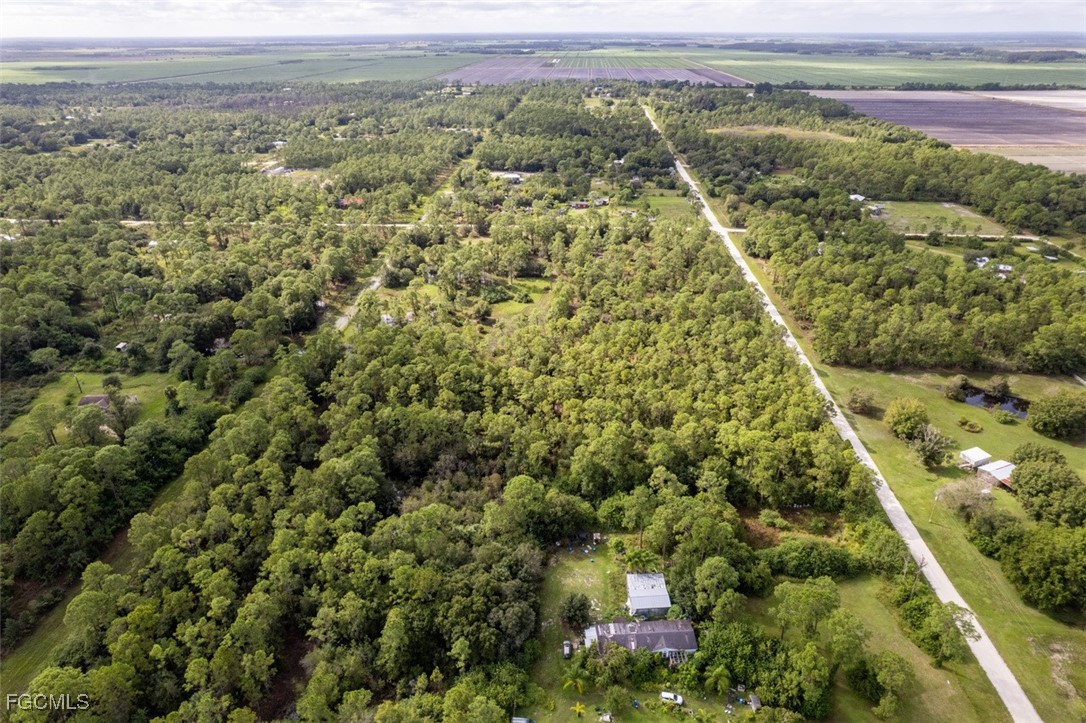 2201 Riviera Avenue Clewiston, FL 33440 - Photo 26 of 31 a view of a yard with an umbrella
