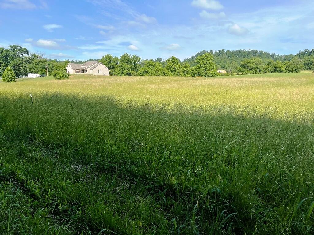 Lot 10 Old Snapps Ferry Road, Unit 1011 Limestone, TN 37681 - Photo 2 of 8 IMG_1220